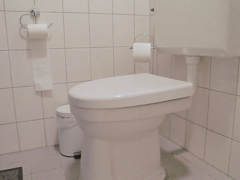 prikaz toaleta sa vodokotlićem, wc šoljom i toalet papirom